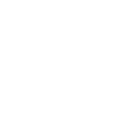 Max City